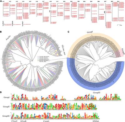 Frontiers Genome Wide Identification And Expression Of Far Gene